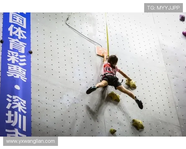 南京攀岩队实力分析与发展潜力探讨攀岩运动的未来展望