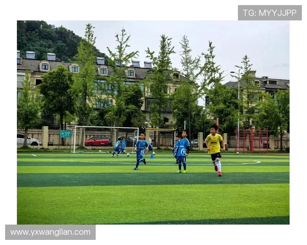 杨军深度解析足球技巧与战术分享助你提升球场表现 杨军深度解析足球技巧与战术分享助你提升球场表现