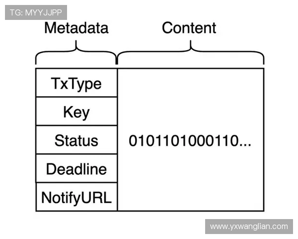 深圳乒乓球队的战术运营体系解析与实践探讨 深圳乒乓球队的战术运营体系解析与实践探讨