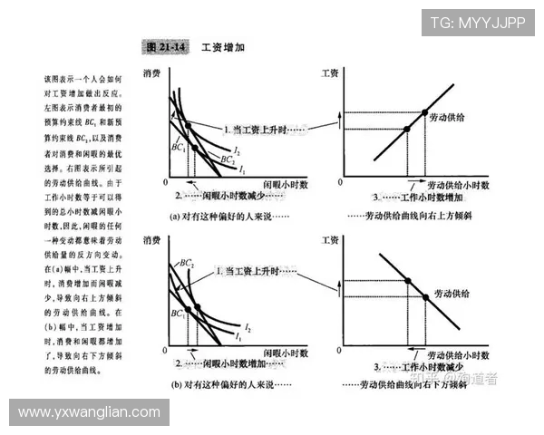 深入探讨杭州篮球队比赛经验的差异与影响因素分析 深入探讨杭州篮球队比赛经验的差异与影响因素分析