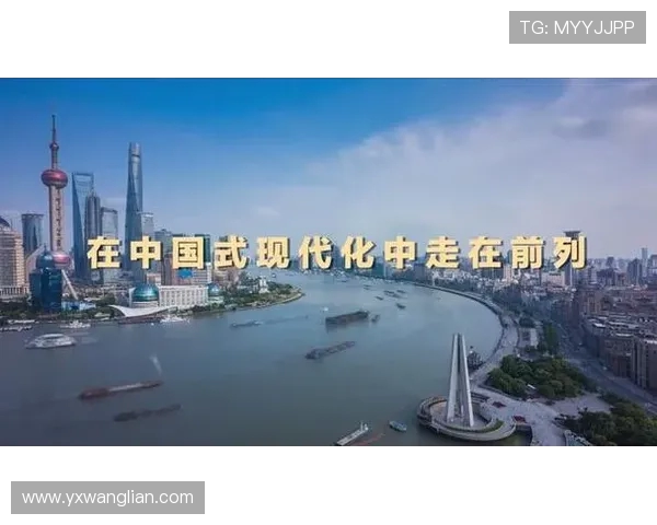 深圳飞盘队状态对比深度解析与未来发展趋势探讨