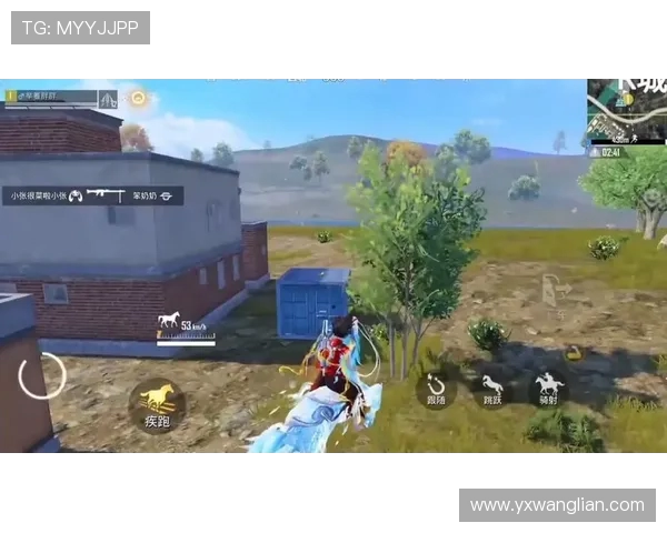 聚焦和平精英：探讨LNG在游戏中的个人能力与团队协作技巧