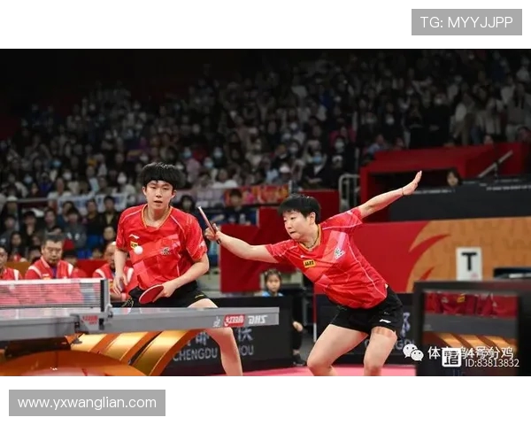 西安乒乓球队在冠军赛中的团队协作表现与战术分析