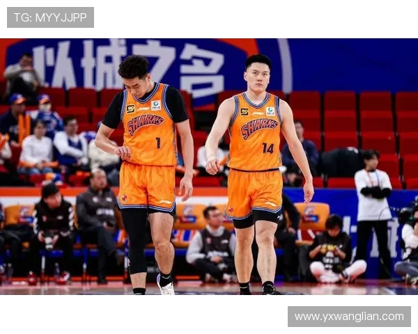 四川男篮迎战上海队CBA赛季激战即将上演球迷期待精彩对决