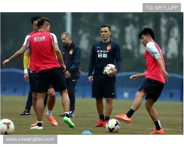 权健与恒大对决分析各国球迷热议赛事背后的故事与影响