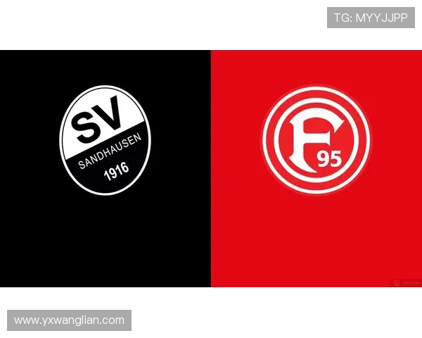 桑德豪森主场迎战汉堡期待精彩对决双方争夺关键积分的激烈较量