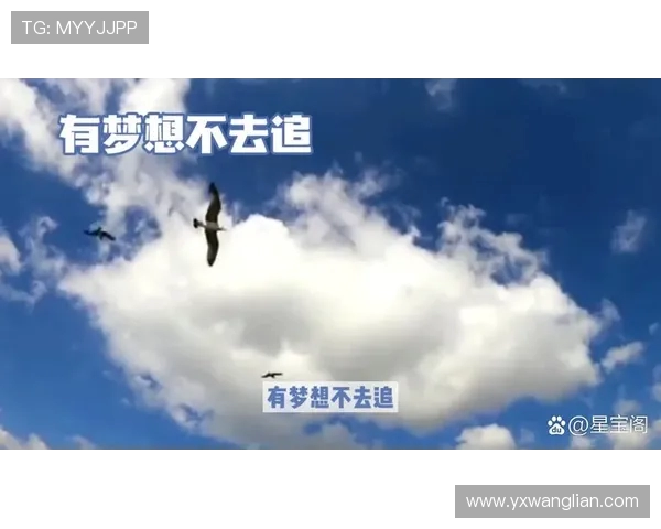 风暴与梦想的较量谁能胜出探索内心的力量与勇气