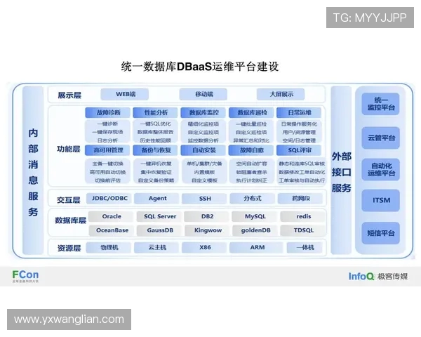 数据分析揭示IG灵活性表现的多维度影响与趋势探讨