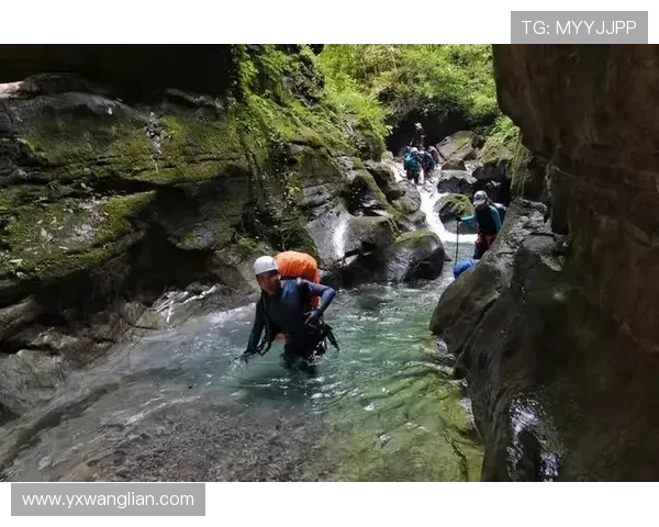 杭州极限运动队转型探索与发展路径分析