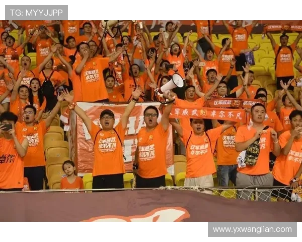 武汉乒乓球队实力之争引发热议球迷与专家各抒己见