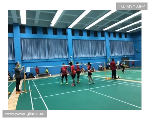 深圳羽毛球队盯防策略分析与比赛表现的得失探讨