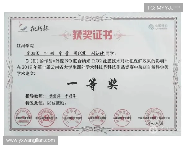 西安网球队在比赛中的盯防策略分析与成效评估