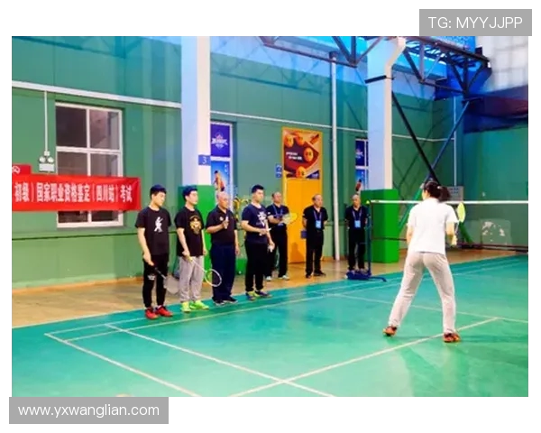 成都羽毛球队个人能力分析与提升路径探讨